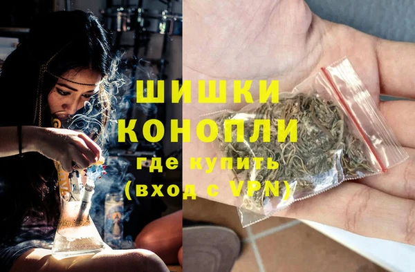 СК Няндома