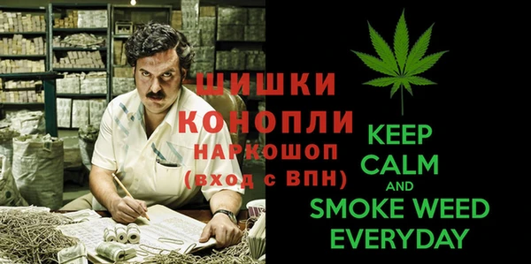 СК Няндома