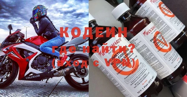 СК Няндома