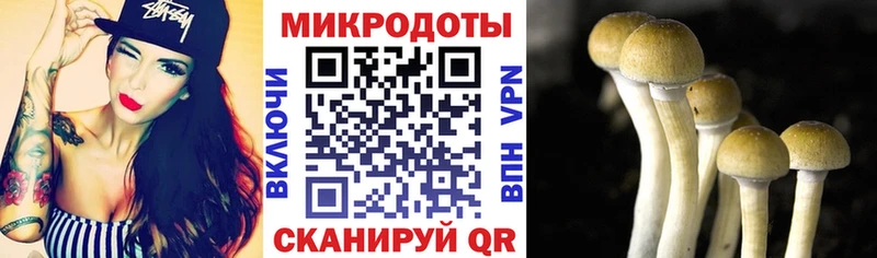 Галлюциногенные грибы Cubensis  Усть-Катав 